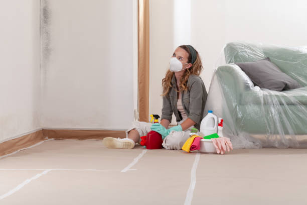Reliable Mold Remediation contractor in Bethel, MN by WQB Mold Removal
